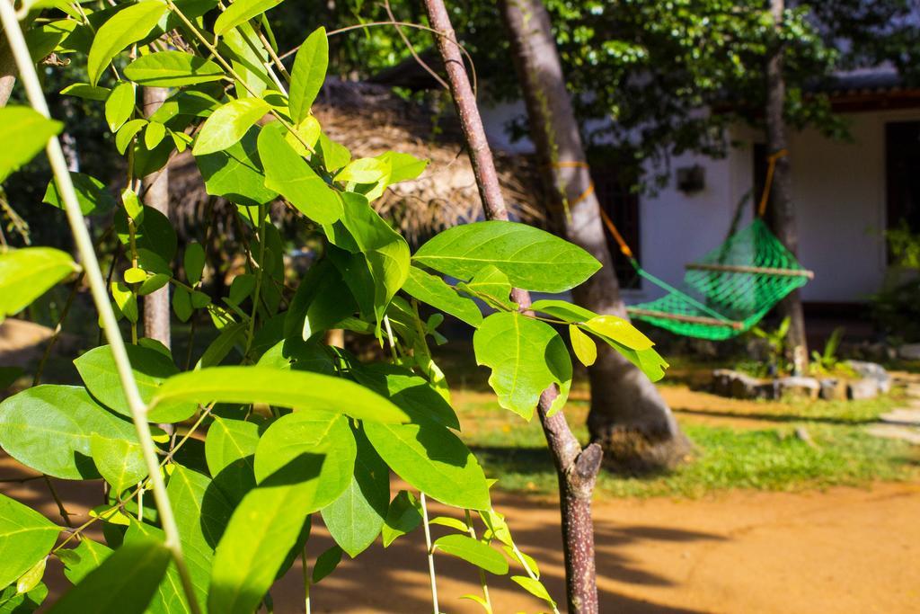 Sigiriya Lahiru Homestay Extérieur photo
