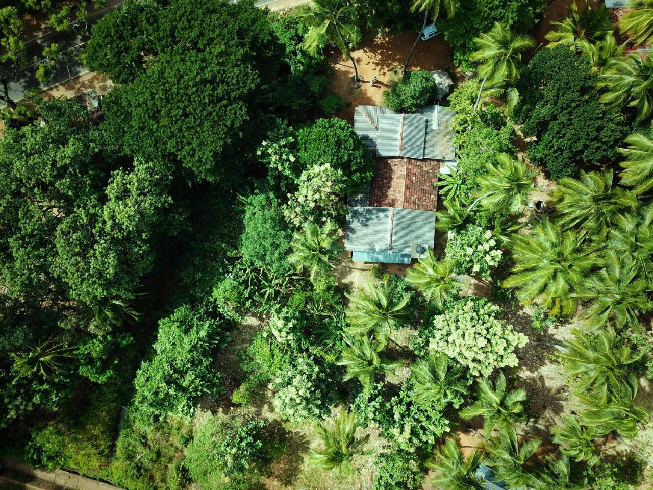 Sigiriya Lahiru Homestay Extérieur photo