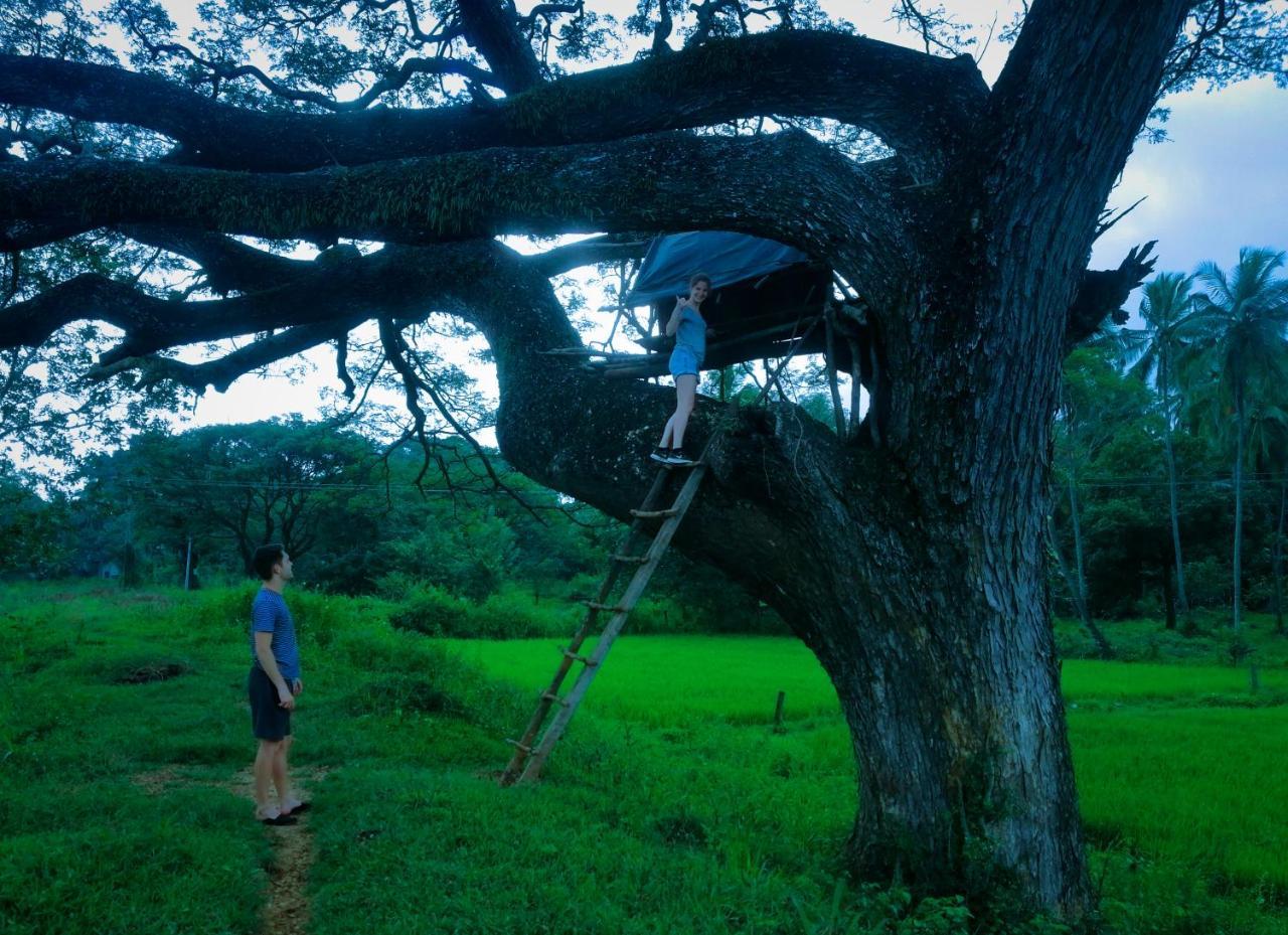 Sigiriya Lahiru Homestay Extérieur photo